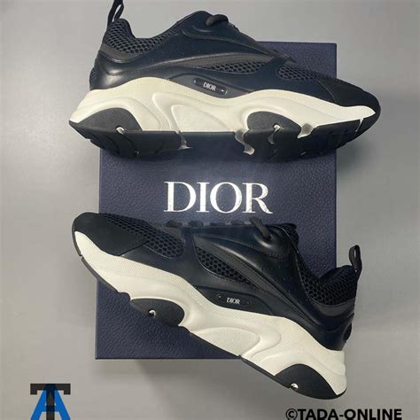 mens dior b22 trainers
